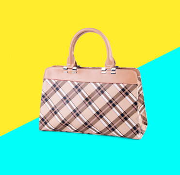 bag. women bag on a background