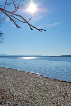 Calm autumn lakeside scene at Lake Starnberg in Upper Bavaria, Germany, with clear blue water, pebbled shore, bare tree branches and distant alpine horizon under bright sunlight.