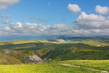 Naklejka premium Carrizo