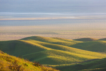 Naklejka premium Carrizo