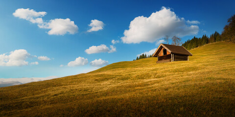 Naklejka premium Lone cabin on a hill, with golden meadow, blue sky and fluffy clouds. A rural minimalistic idyllic landscape in the German Alps in Bavaria.