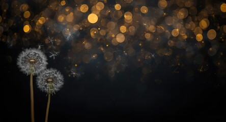 Fototapeta premium Blurred abstract dark backdrop with golden sparkle accents and dandelion seed heads including copy space