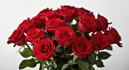 Naklejka premium Fresh bunch of lively red roses with elegant arrangement