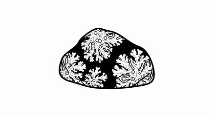 Fototapeta na wymiar A black and white illustration of lichen growing on a rock