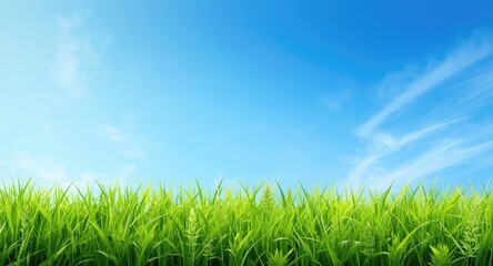 Fototapeta premium Fresh cartoon depiction of spring nature with lively green grass and crisp blue sky