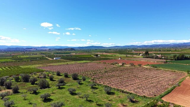 Aerial view of cultivated farmland in Valencia region, Spain, featuring orchards, crop fields and rural plots in a Mediterranean agricultural landscape