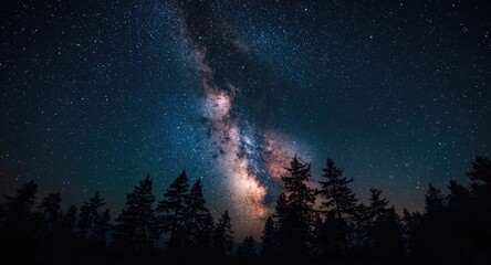 Fototapeta premium milky way galaxy glowing above sharp tree shadow outlines in a serene long exposure photo