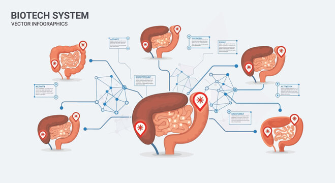 Biotech System Human Digestive System Infographic Vector