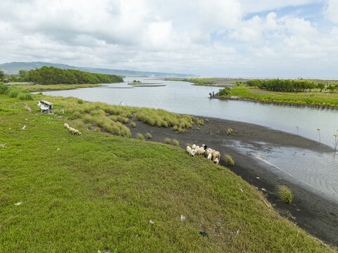 Aerial view of the Opak River's dark waters meeting the sea, framed by lush green banks and scattered structures, Downstream of the Opak River, Bantul Regency, Indonesia.