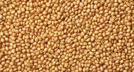 Fototapeta premium Natural soybean pattern texture with gentle shadowing