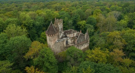 Obraz premium Historic castle decay amidst a vibrant and dense forest canopy