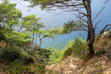 Fototapeta premium Sentier du littoral permettant de rejoindre Bandol depuis Saint-Cyr-sur-Mer en longeant la mer à travers de superbes calanques