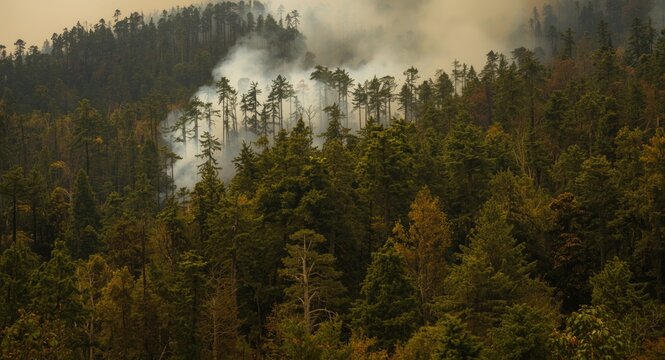 Relationship between deforestation, wildfires, and shifting climate dynamics