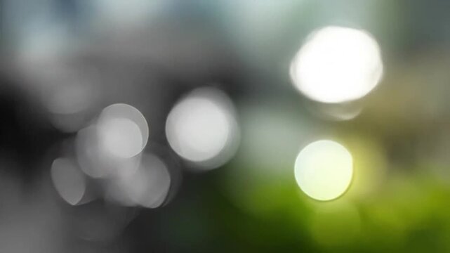 Abstract bokeh lights create a split tone background with soft focus
