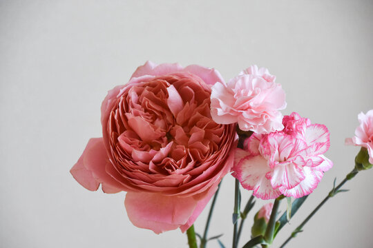 薔薇とカーネーション