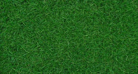 Birds eye perspective of a wide green grass area with fresh cut showcasing natural texture