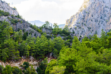 Fototapeta premium Rocks in canyon not far from the city Kemer. Antalya province, Turkey
