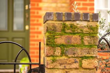 Close-up of moss growing on a brick garden wall with visible moisture and aging texture on a residential property exterior.
