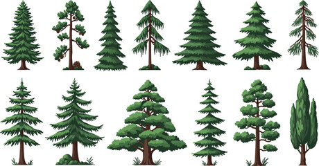 Obraz premium Various Pine Tree Illustrations Set with Detailed Greenery and Woodland Elements for Nature and Forest Designs