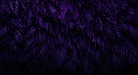 Fototapeta premium Dramatic purple feather pattern texture displayed on uniform black background
