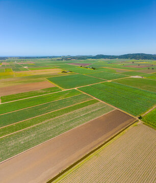 Aerial view of Cane Farms between Condong and Murwillumbah