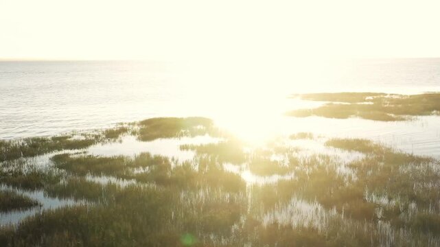 Aigrette pos&eacute;e sur l'eau, Bassin d'Arcachon, France, Gironde, Nouvelle-Aquitaine, coucher de soleil