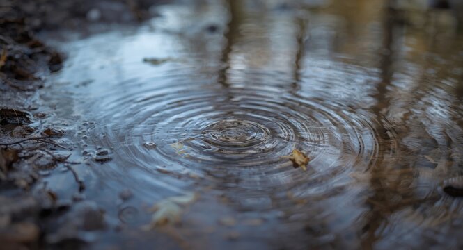 Gentle springtime water ripples on a natural puddle surface