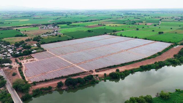 Drone view of farmland with plasticulture irrigation system near santiago river in mexico