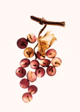 illustration photographique d'une grappe de raisins 