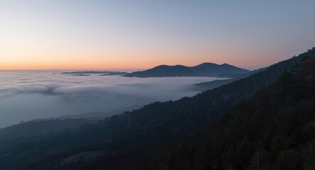 Obraz premium Serene early dawn mountain vista with thick fog layer