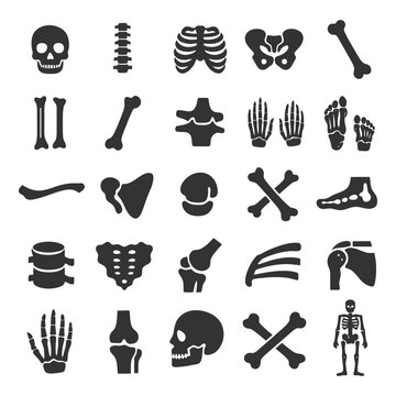 Human skeletal system: skull, spine, ribs, pelvis, limbs, joints, bones, skeleton diagram.