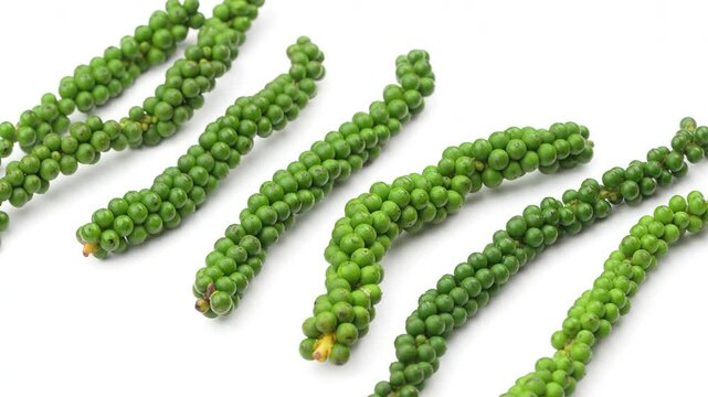 Fresh green peppercorn spikes rotating on white background