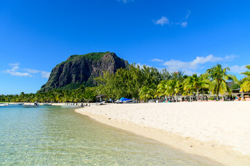 Fototapeta premium モーリシャスにあるル・モーン山のとても美しい風景A beautiful view of Mount Le Morne in Mauritius
