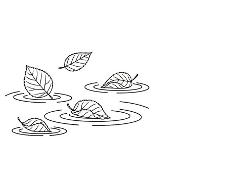 Stylized illustration of fallen leaves floating on water creating ripples