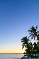 Obraz premium モーリシャスのビーチで眺める朝焼けのとても美しい風景A beautiful sunrise on the beach in Mauritius