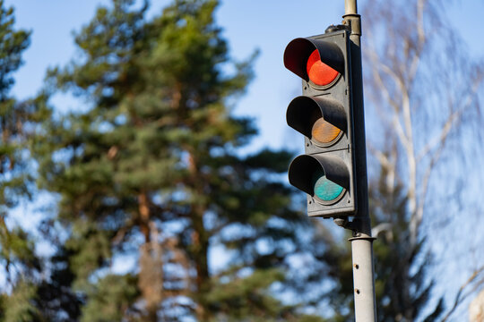 Traffic signal showing red against soft forest backdrop, city street regulation, commuting safety and transport management