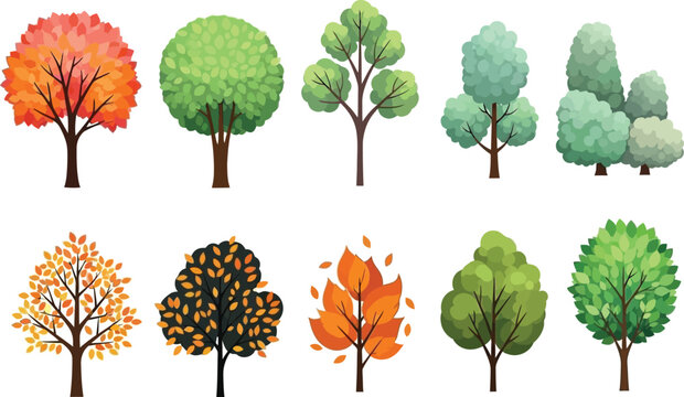 a collection of cartoon style trees in varying shades of green orange and red arranged in two rows appears vividly illustrated