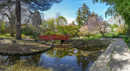 Naklejka premium Boulogne-Billancourt, France - 03 17 2026: Albert Kahn's garden. Panoramic view of a Koi pond reflecting a red wooden footbridge and colorful trees and cherry trees in a Japanese garden in spring