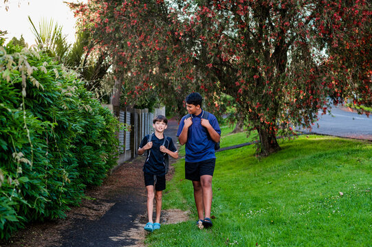 Boys are walking side by side on a path near bushes and trees in New Zealand at sunset