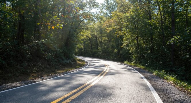 Bright sunshine on a twisting road paved with asphalt and double yellow dashed lines surrounded by foliage