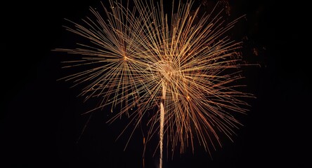 Obraz premium Glowing golden fireworks set against deep night sky for a festive New Year greeting