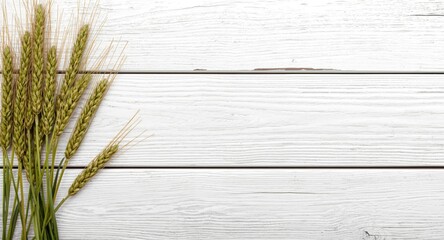 Fototapeta premium Rustic vintage texture featuring green wheat and rye on white wooden board with copy space