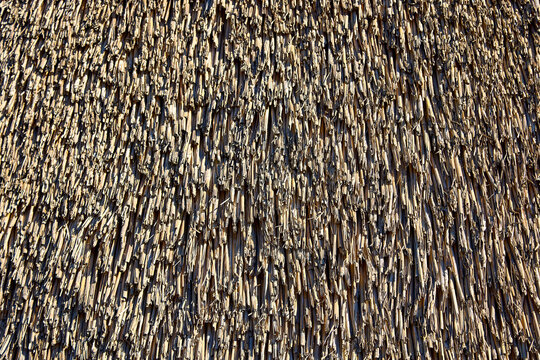 А Image of a thatched roof in the sun