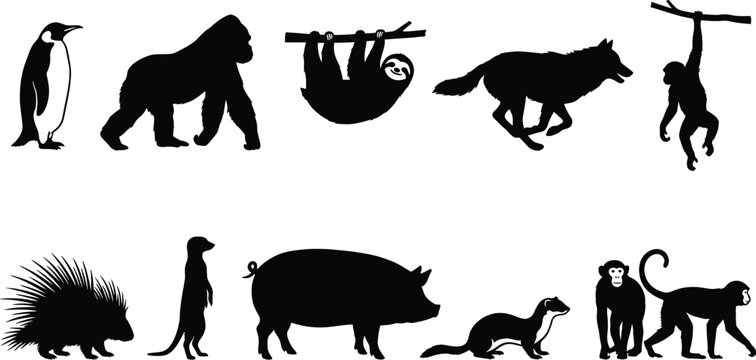 Wild animal silhouettes set, collection of zoo and forest mammals and birds isolated on white background, black vector illustration bundle