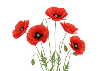 Naklejka premium Vibrant red poppies blooming against a soft white background