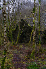 Fototapeta premium Overgrown stone building within Dorothea Slate Quarry