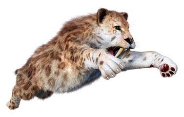 Fototapeta premium 3D Rendering Saber Toothed Tiger on White