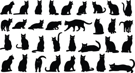 Large black silhouette collection of domestic cats in various poses including sitting, walking, and lying down isolated on white background. © Sabbir's World