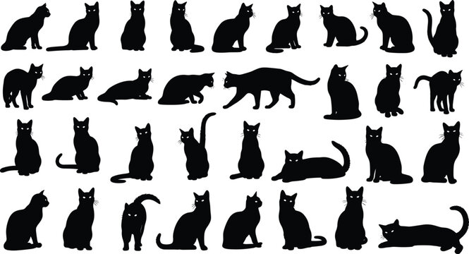 Large black silhouette collection of domestic cats in various poses including sitting, walking, and lying down isolated on white background.