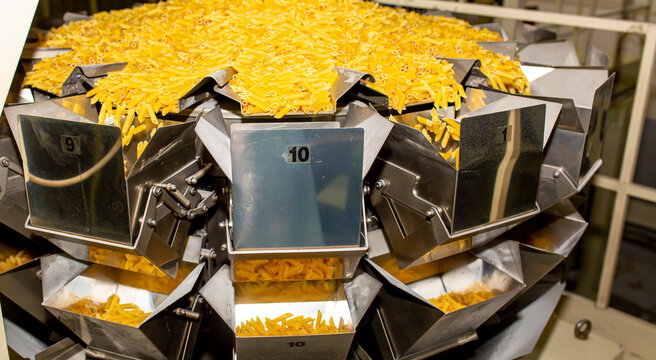 Pasta factory. Close-up of raw pasta on machines and conveyor. Pasta production equipment. Modern manufacturing plant of the pasta industry.